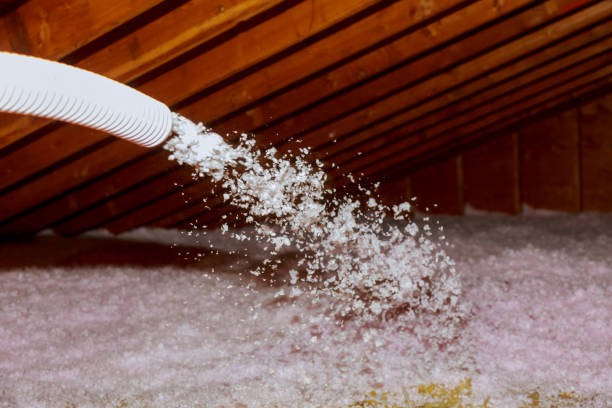 Best Attic Insulation Near Me  in Emerald Bay, TX