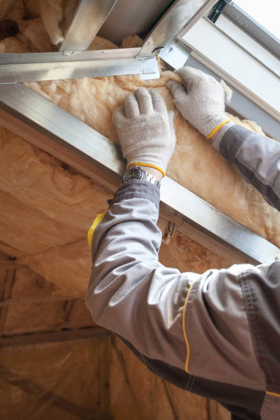 Best Professional Insulation Contractor  in Emerald Bay, TX