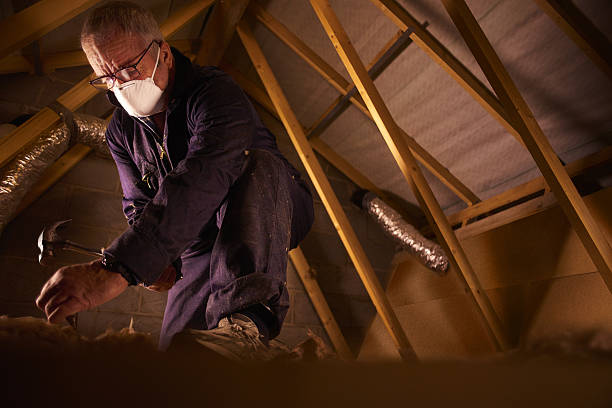 Best Affordable Insulation Services  in Emerald Bay, TX